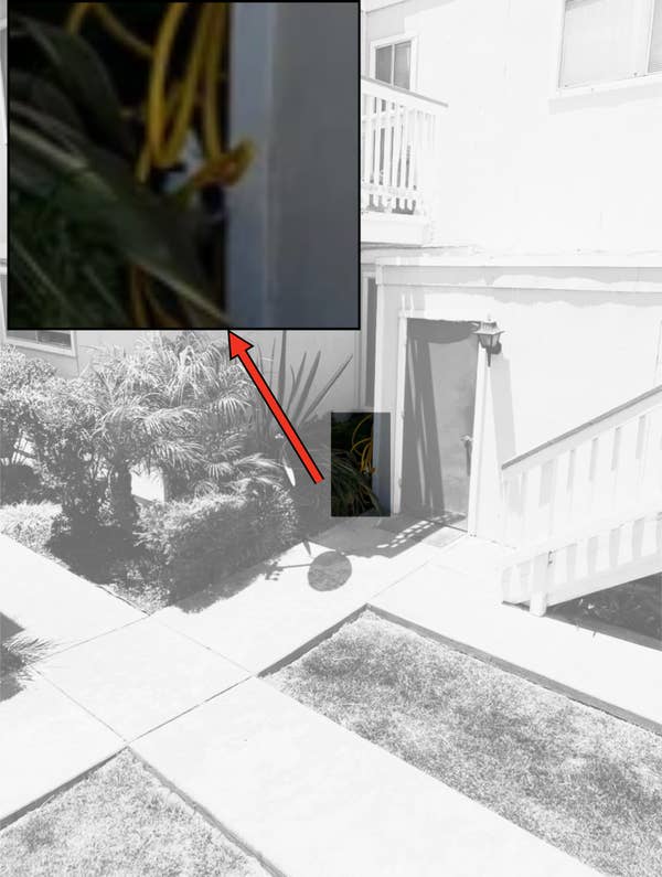 Image of a snake partially visible behind a structural column near a residential building's entrance. Enlarged inset shows a close-up of the snake. No people present