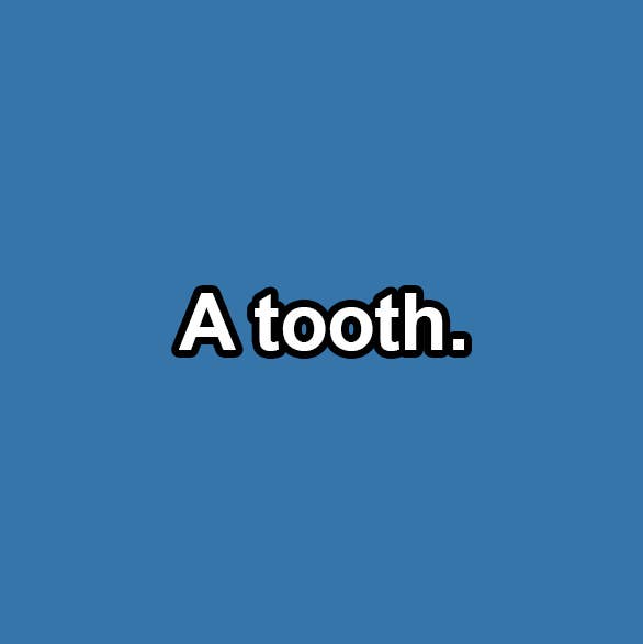 Answer is a tooth