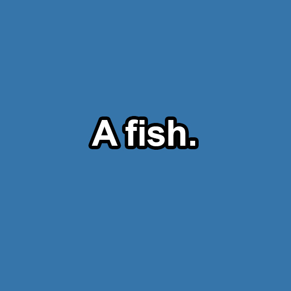 Text in image: "A fish."