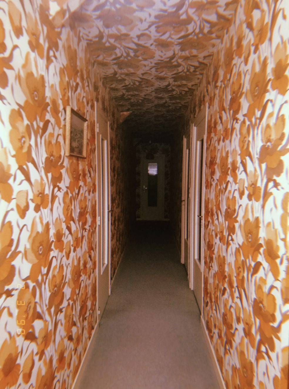 A hallway with patterned floral wallpaper on the walls and ceiling, leading to a door at the end. A framed picture hangs on the left wall