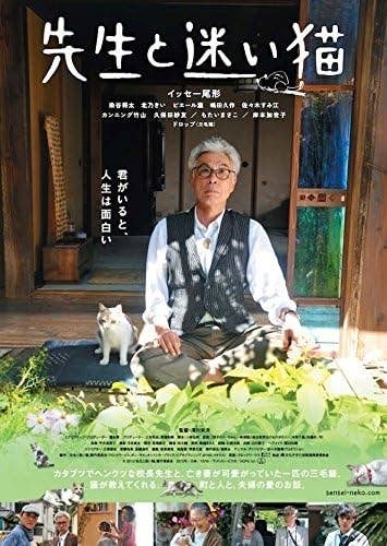 映画『先生と迷い猫』(2015)DVDジャケット