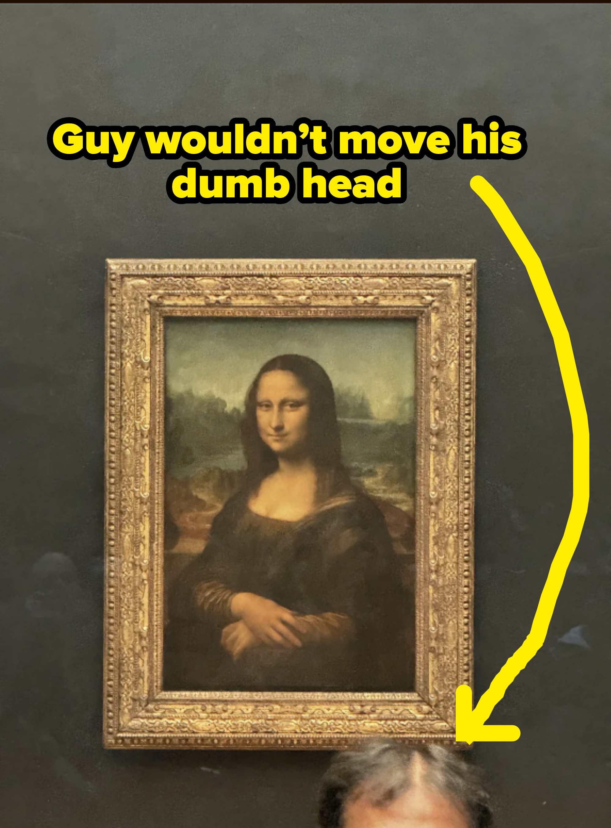 Painting of the Mona Lisa by Leonardo da Vinci, framed and hanging on a wall. A person's hair is partially visible at the bottom of the image