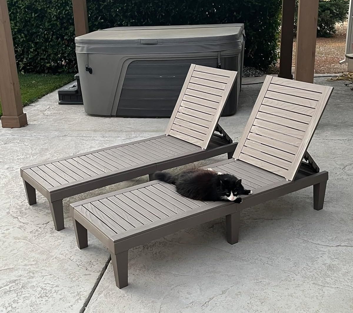 Dua kursi santai dengan kucing hitam dan putih beristirahat di salah satunya, ditempatkan di samping bak mandi air panas di teras luar ruangan yang dikelilingi oleh tanaman hijau