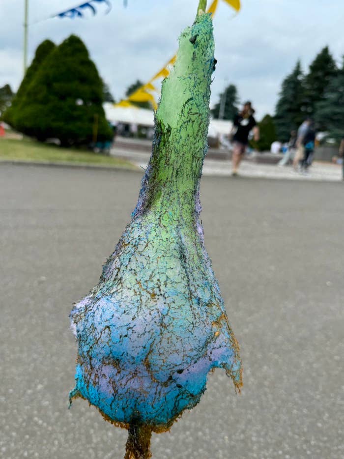 奇妙な造形の擬態物が棒に刺さっている、背景に少数の人々と緑の樹木が見える。