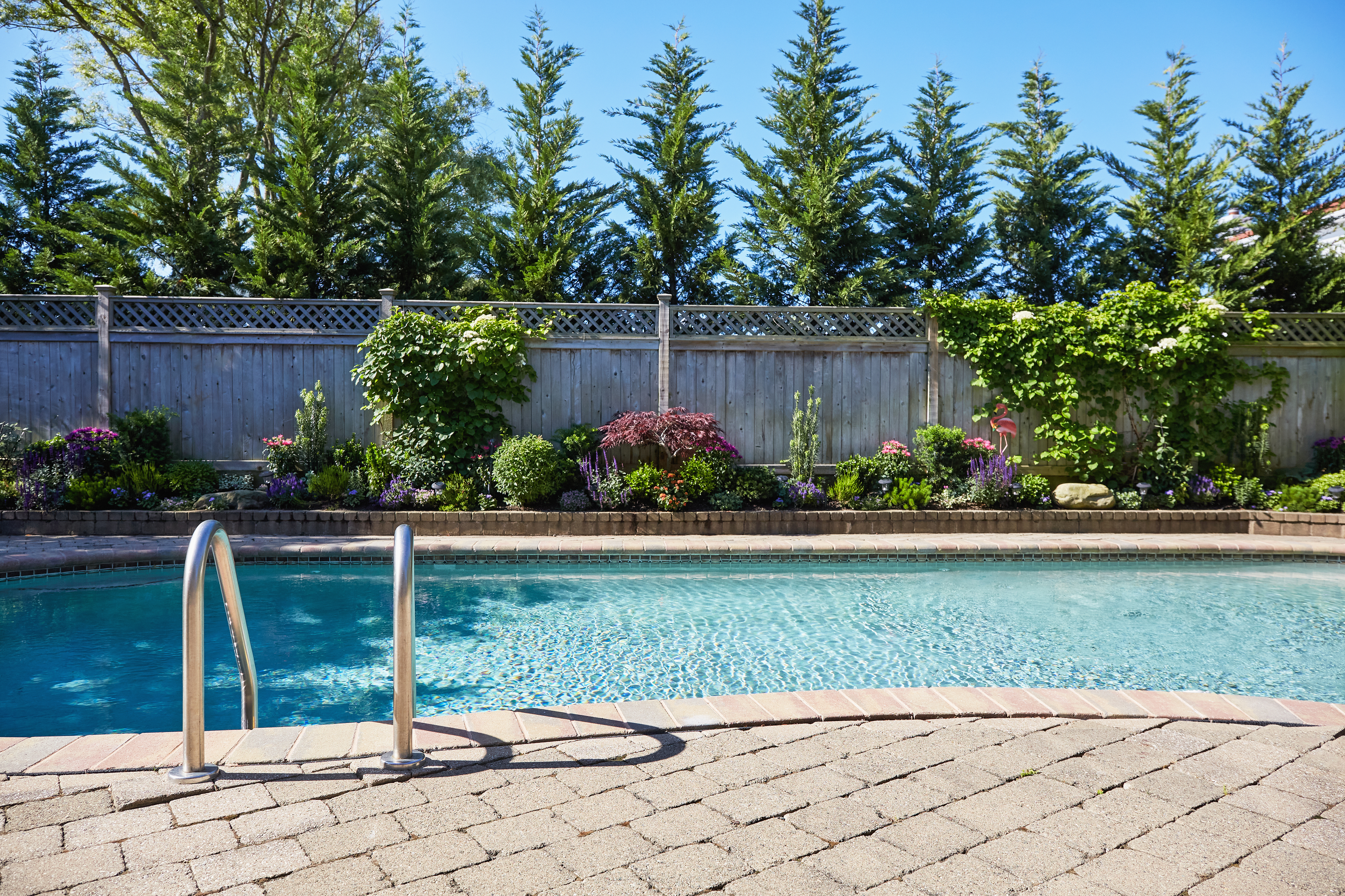 Backyard pool with ladder, surrounded by a stone patio and lush garden with trees and shrubs against a wooden fence