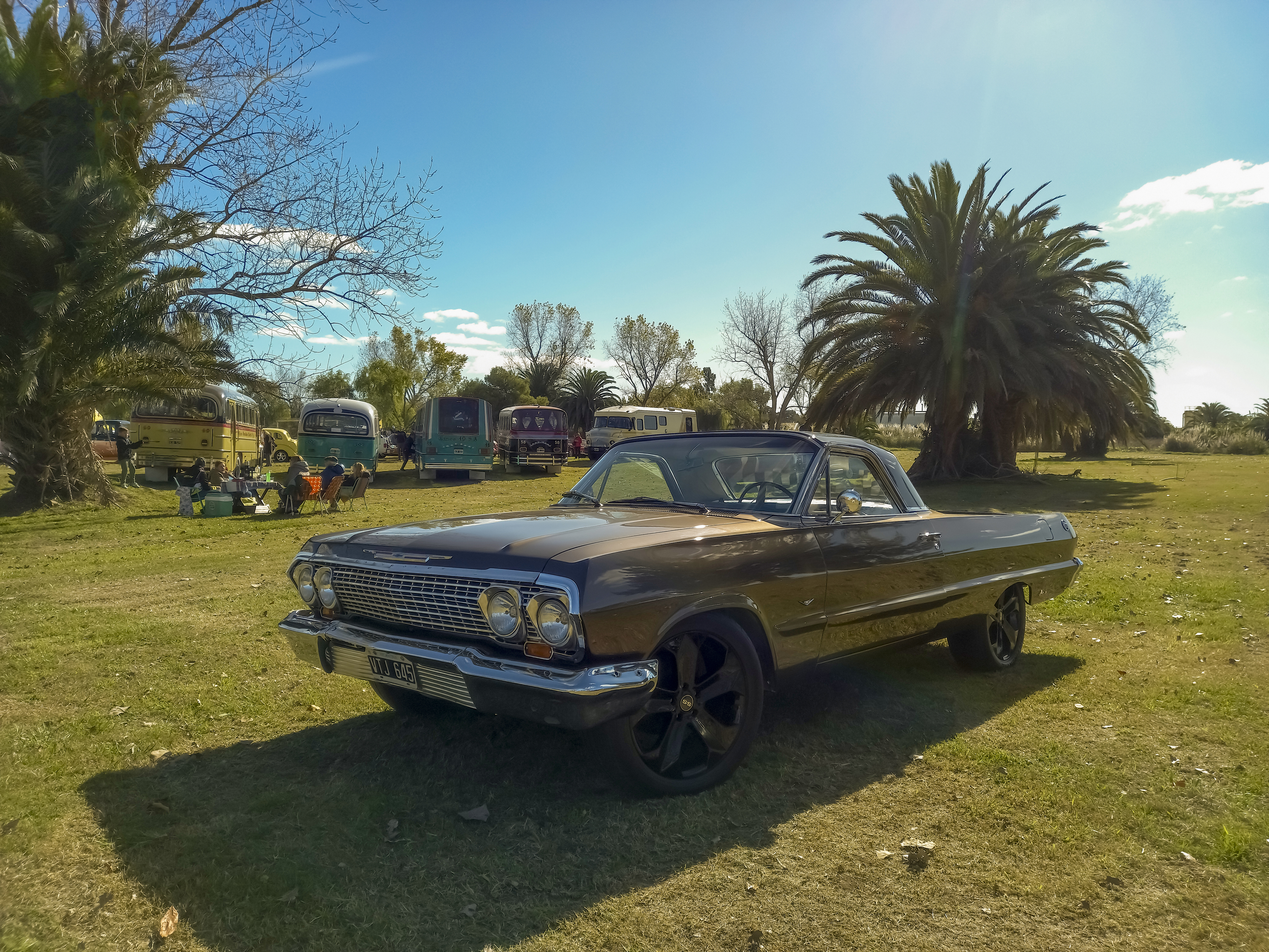 A classic convertible car is parked on a grassy field with palm trees in the background. Several vintage buses are also visible in the distance