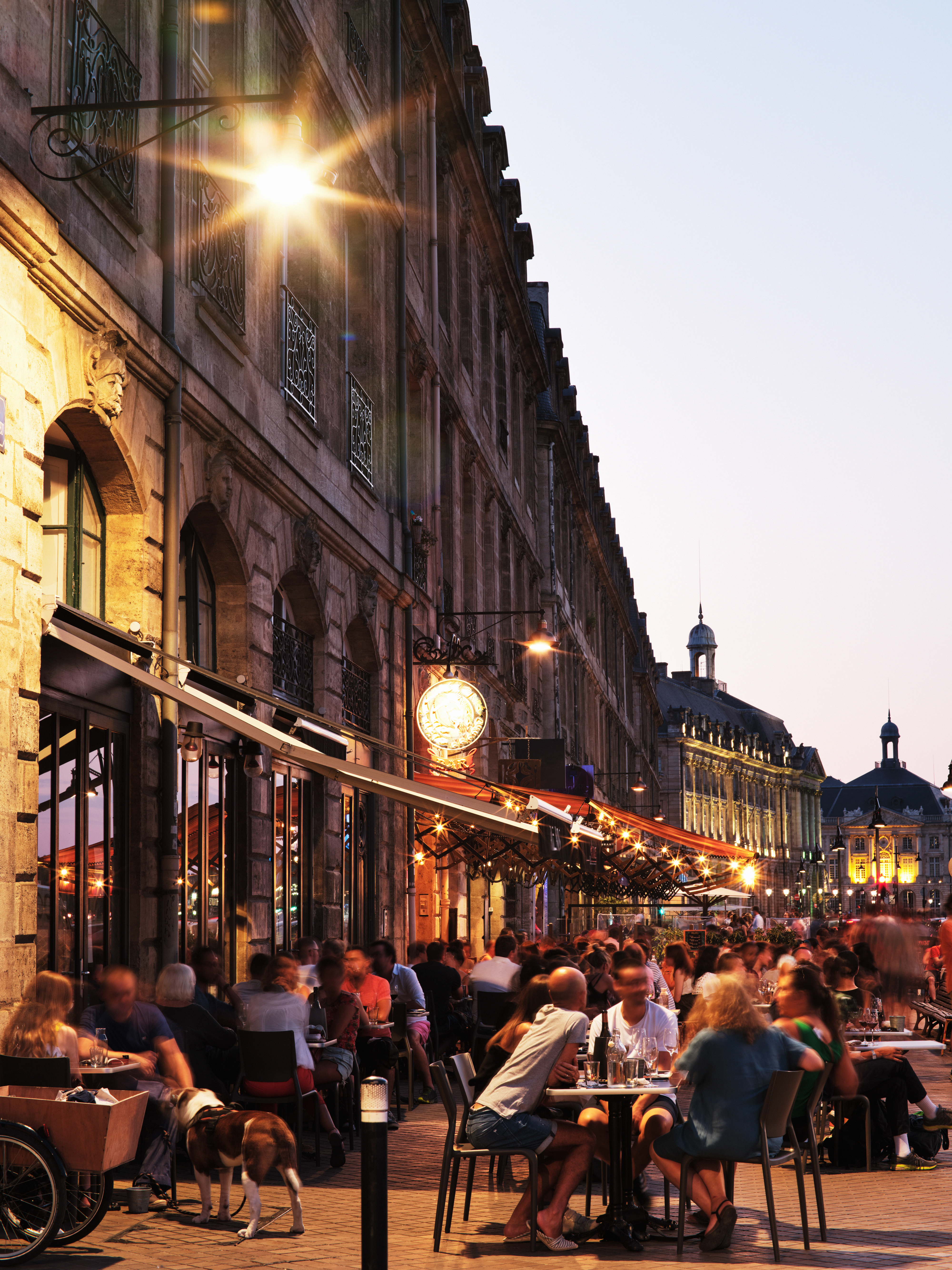 People dine at tables outside a restaurant along a bustling street in the evening. A dog is seen sitting next to a person