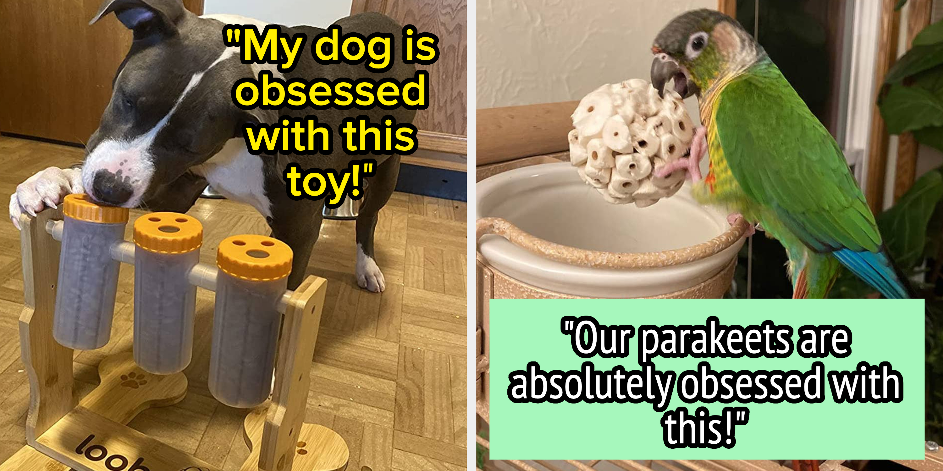 27 Products Pet Owners Or Their Pets Are Obsessed With