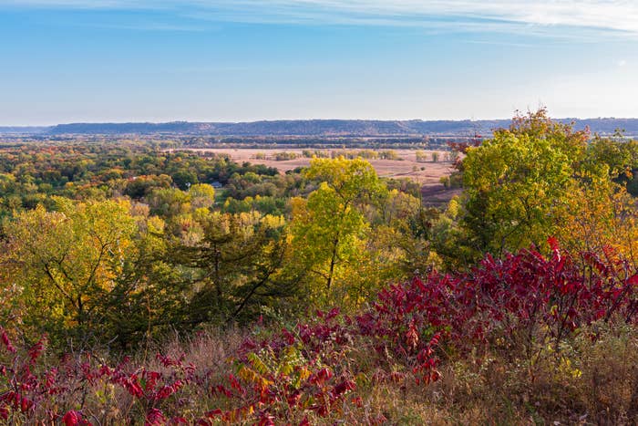 Scenic view of a vast, lush landscape with a mix of trees and open fields under a clear sky, likely in a rural or natural area, captured in autumn