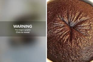 Warning: This image contains a close-up of a baked chocolate cake. Click to reveal