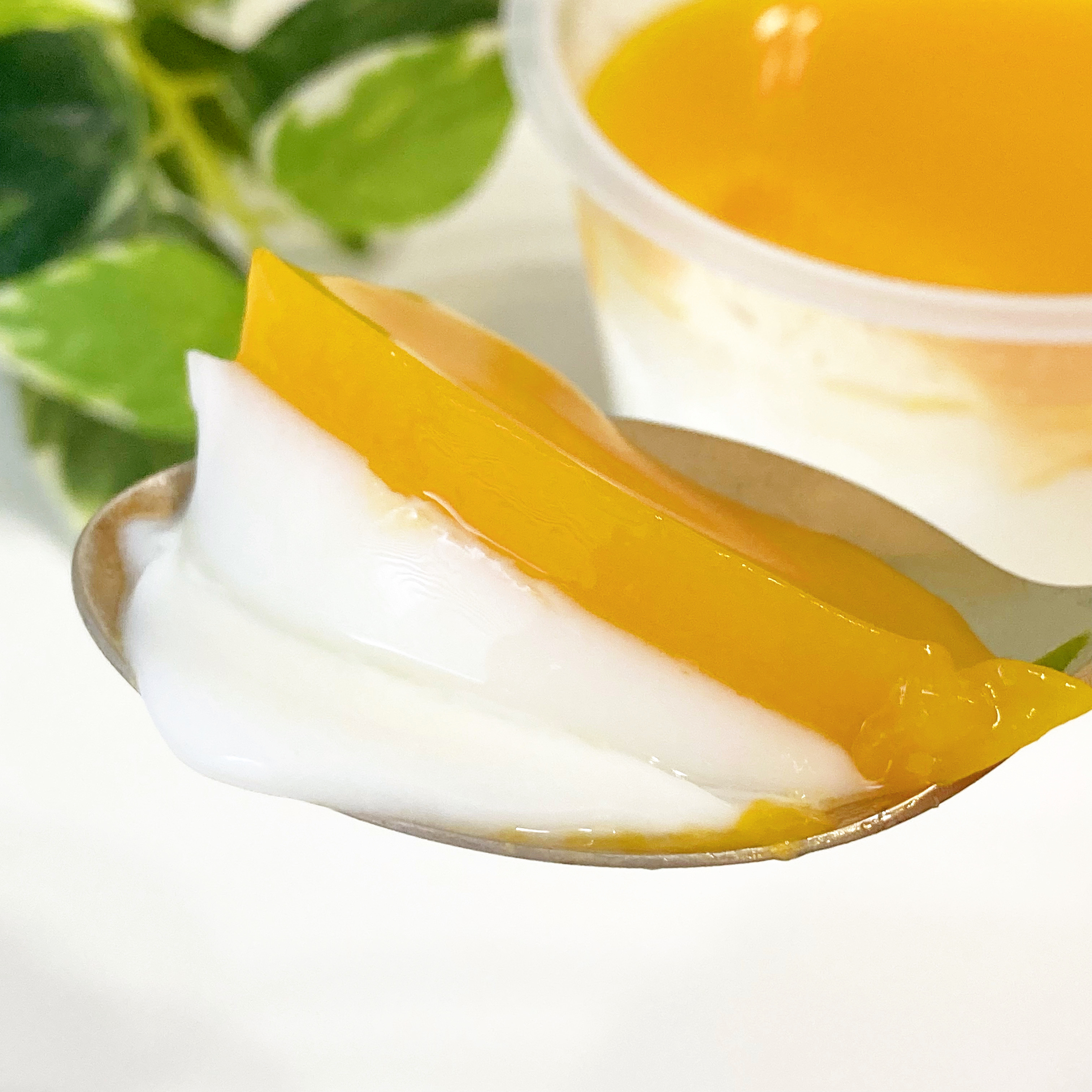 セブン-イレブンのおすすめスイーツ「マンゴー&なめらか杏仁」