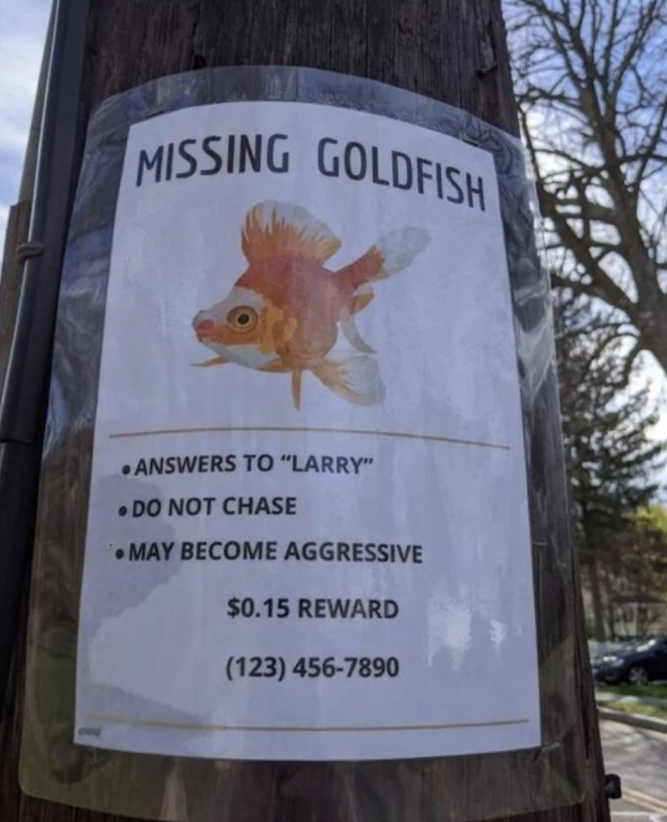 Missing goldfish poster taped to a pole. Text reads: &quot;Missing Goldfish. Answers to &#x27;Larry&#x27;. Do not chase, may become aggressive. $0.15 reward. (123) 456-7890.&quot;