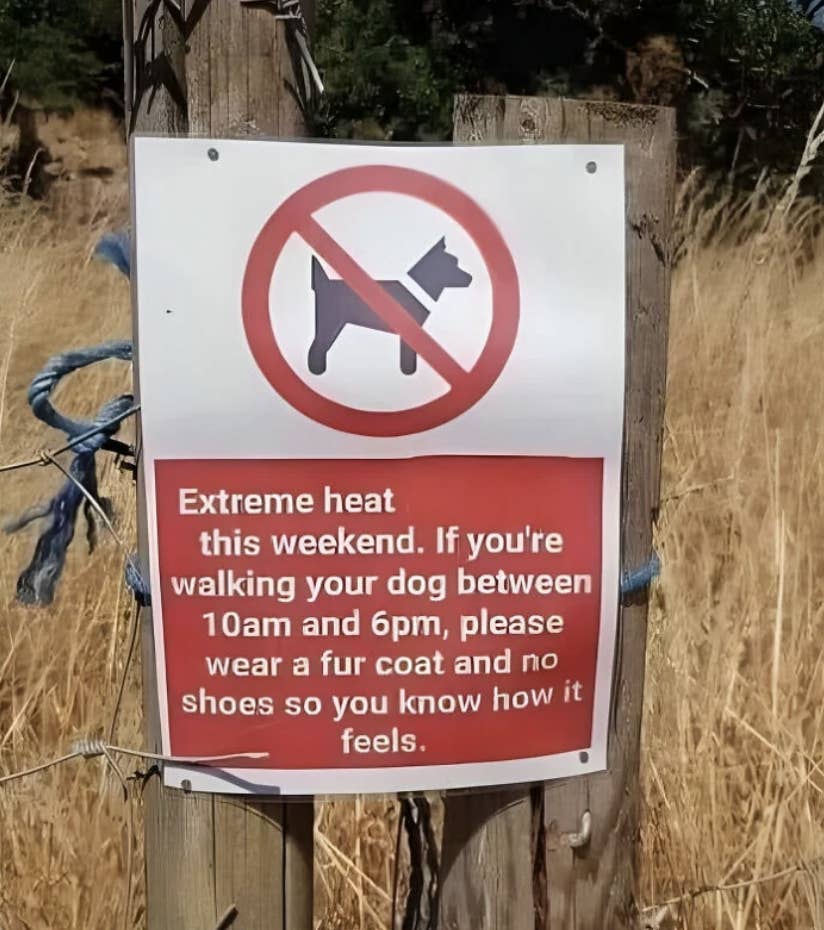 Funniest Signs On Reddit This Week