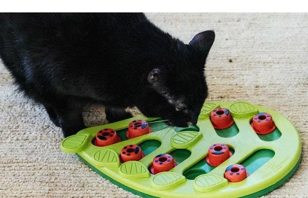 A black cat interacts with the green puzzle toy featuring red ladybug pieces