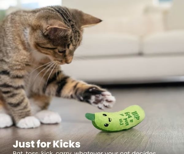 A cat plays with the green pickle-shaped toy