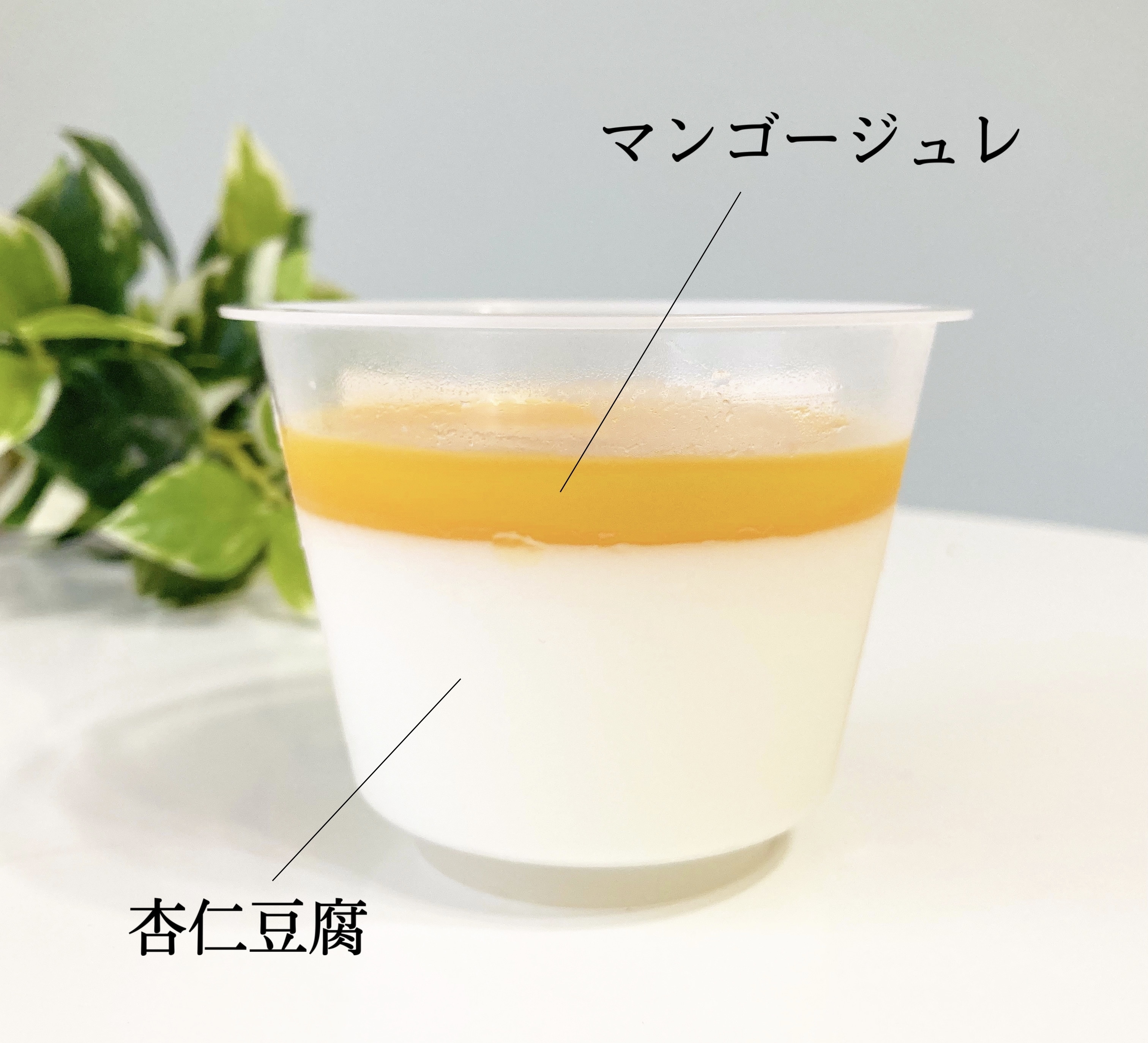 セブン-イレブンのおすすめスイーツ「マンゴー&なめらか杏仁」