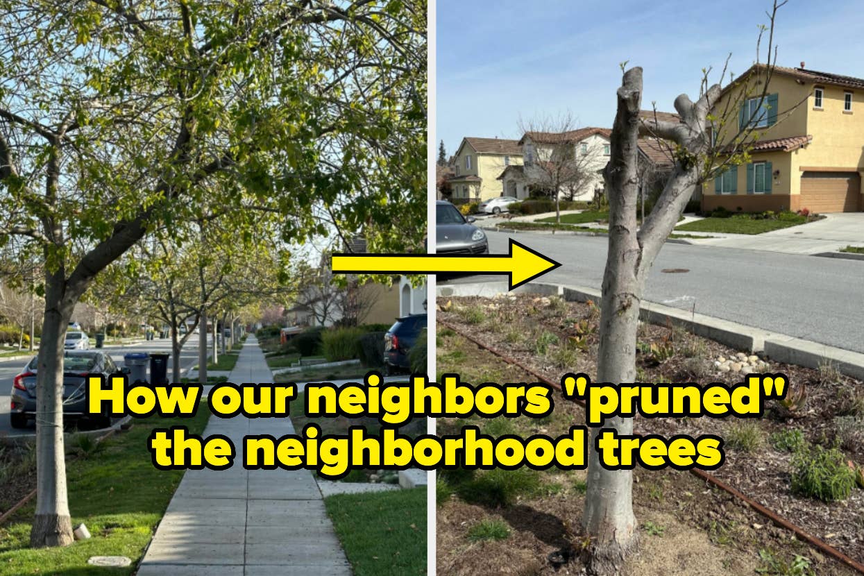 Two side-by-side photos of neighborhood trees. Left: a tree with full branches. Right: a heavily pruned tree with most branches removed. Text: "How our neighbors 'pruned' the neighborhood trees."