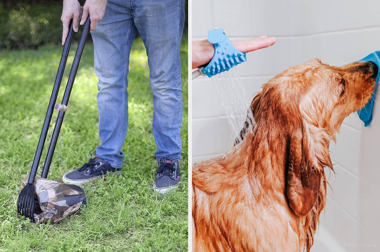 A person using a pooper scooper on grass beside a photo of a dog being washed in a bathtub