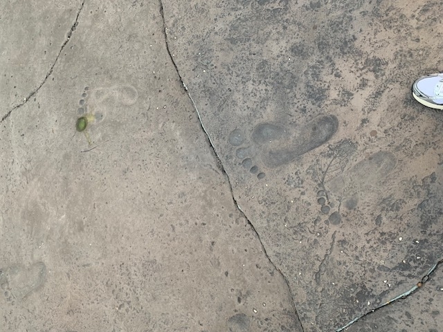 Footprints embedded in a stone walkway with part of a sneaker visible in the bottom right corner