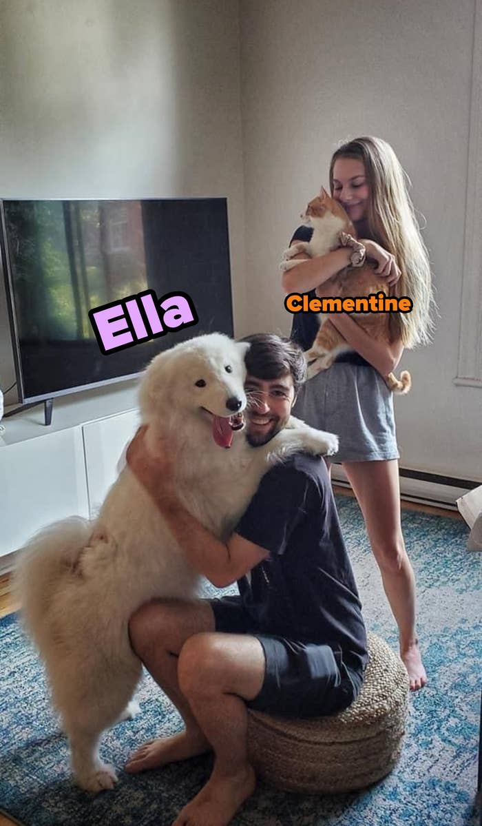 Two people, one with a large fluffy white dog and the other holding a cat, are smiling in a cozy living room