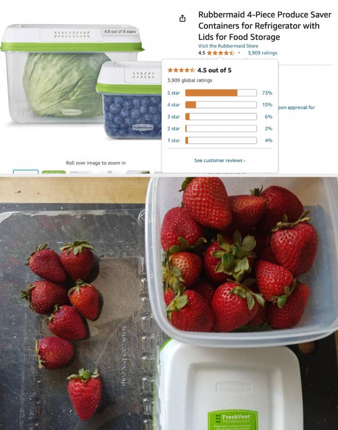 Review: I Found The Best Fruit Storage Containers