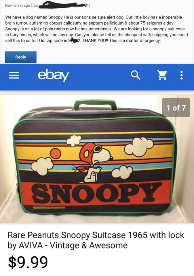 A vintage Peanuts Snoopy suitcase from 1965 is sold on eBay for $9.99. An urgent Facebook message above seeks a second Snoopy suitcase for a child's medical needs