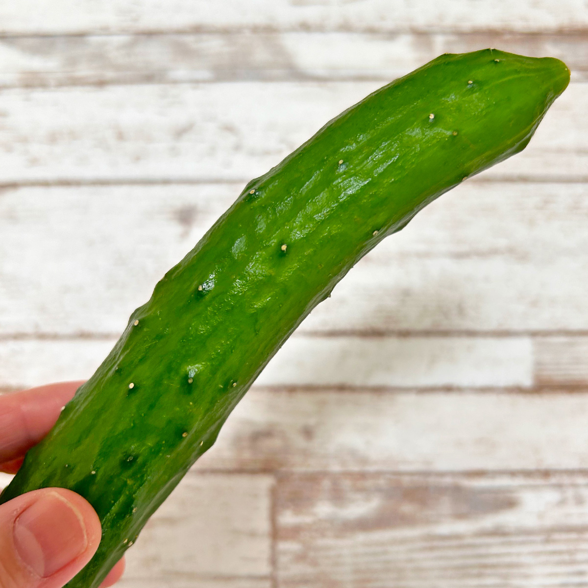 人が1本のキュウリを持っている画像。背景は木の板。