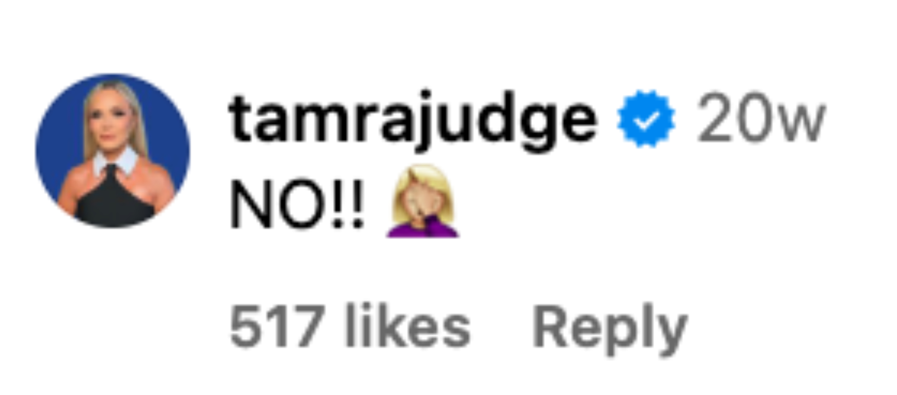 Tamra Judge's Instagram comment: &quot;NO!!&quot; with a facepalm emoji. The comment has 517 likes and was posted 20 weeks ago
