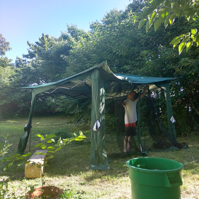 A person in a backyard sets up a green tent with a netted entrance. Trees and a green lawn are in the background