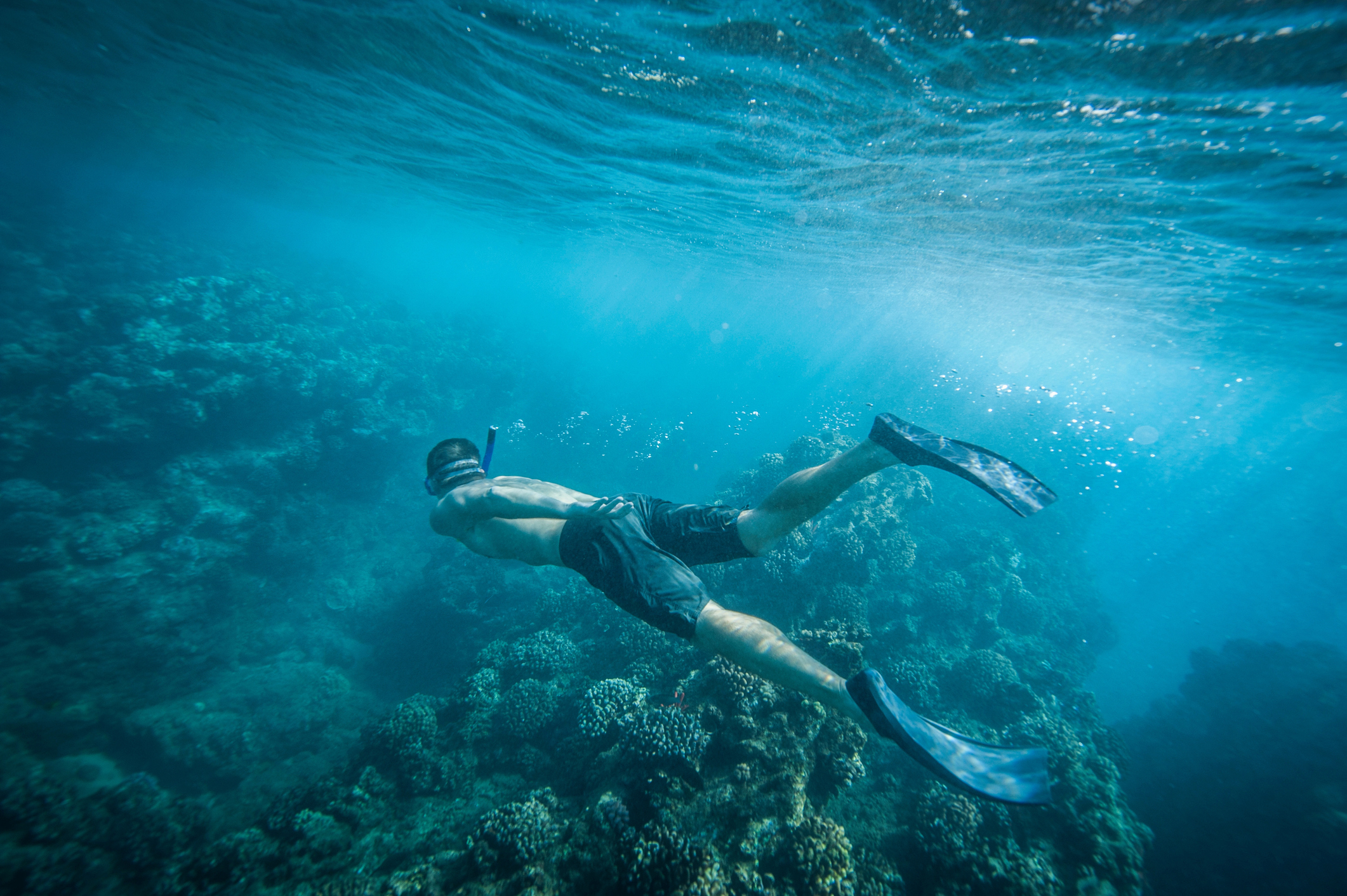 A person snorkeling underwater among coral reefs, showcasing marine life exploration