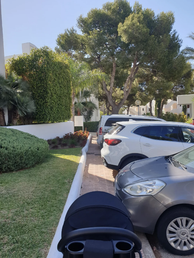 A stroller is seen in the foreground. Several parked cars and lush greenery with trees line the street in the background. This appears to be a quiet residential area