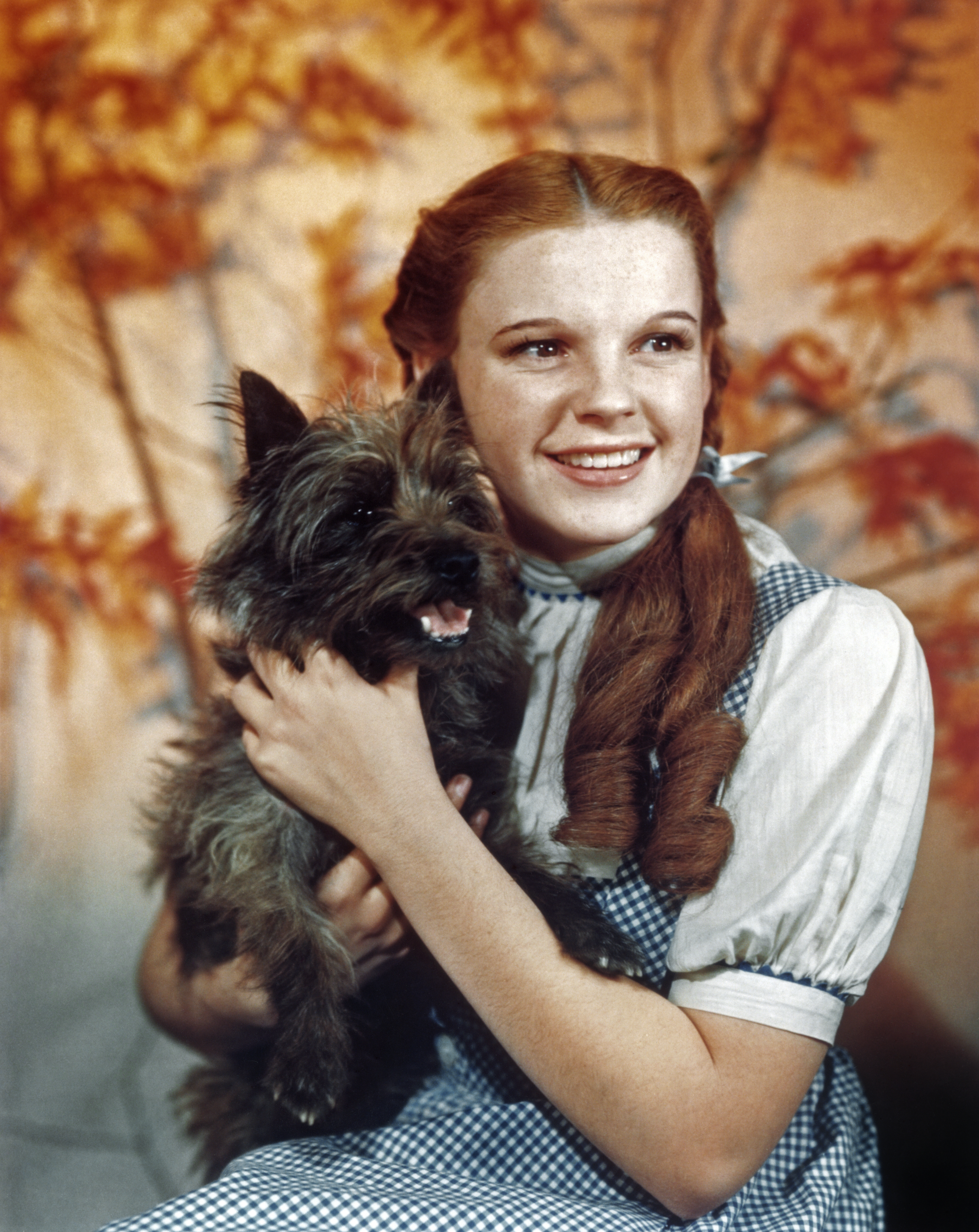 Judy Garland as Dorothy from The Wizard of Oz, with braided hair and holding Toto, her dog.