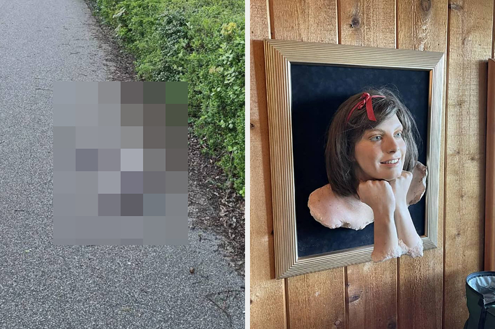 Side-by-side images: Left, a shark lies on a cycle lane in Denmark; right, workers use a crane to place an object on top of a cactus. Text mentions these unusual occurrences