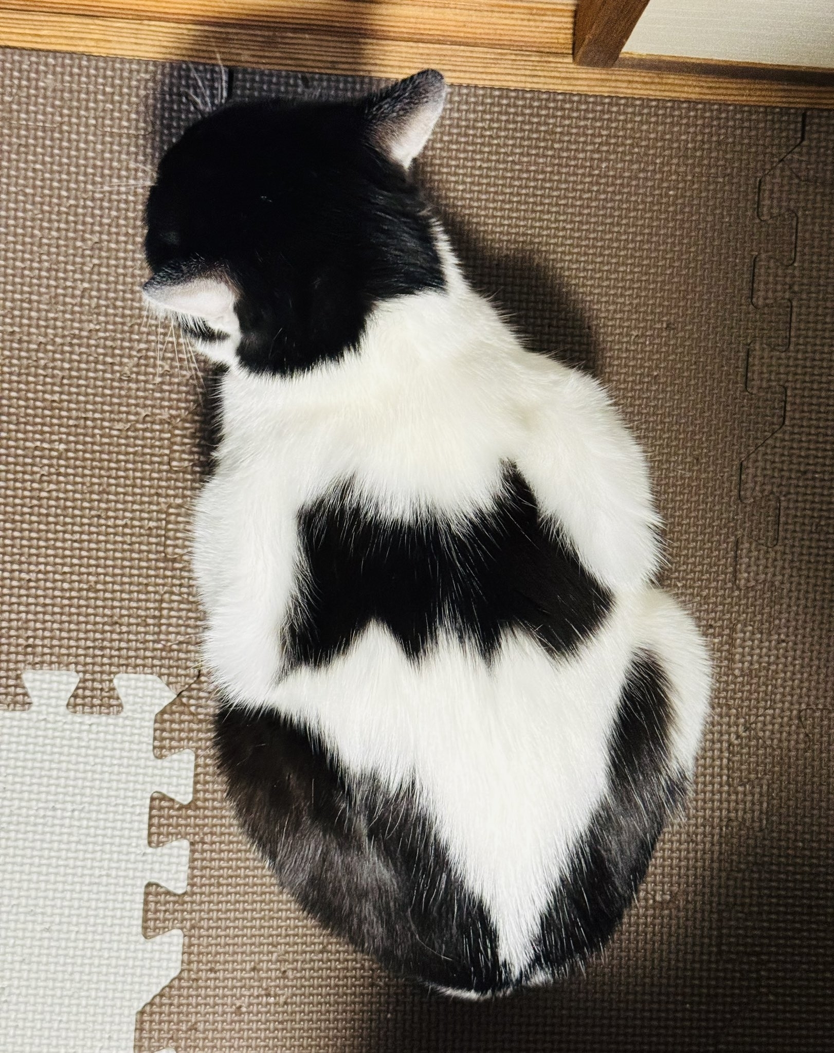 背中のコウモリマーク / うるふさんのXより