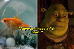 A goldfish in an aquarium is shown next to Shrek, with the text "Anyway, I have a fish now..."