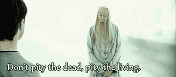 Harry Potter and Albus Dumbledore