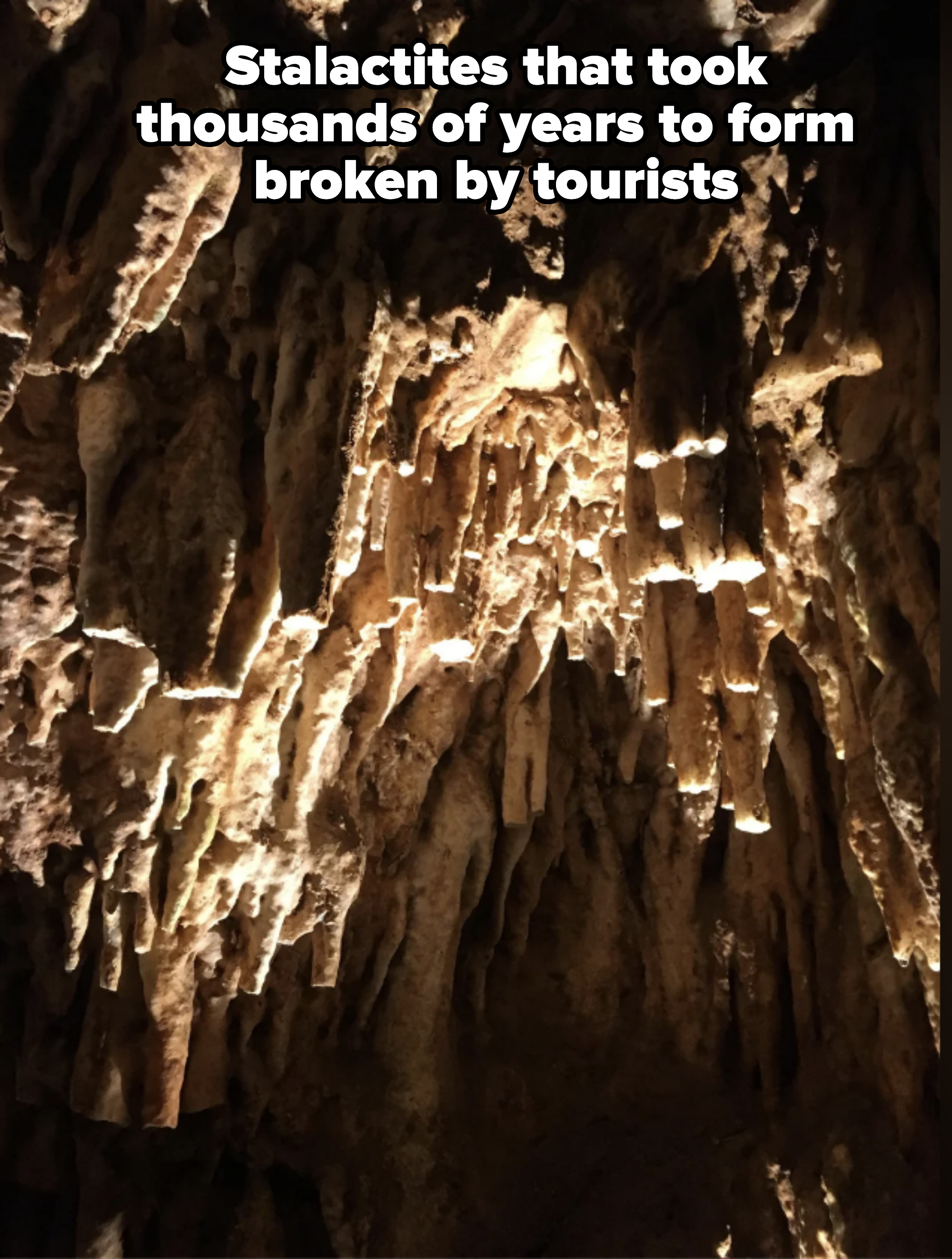 A cave's interior with illuminated stalactites and stalagmites hanging from the ceiling