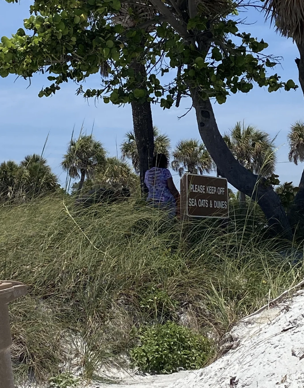Person in a purple shirt standing under a tree by a sign that reads "Please Keep Off Sea Oats & Dunes" near a beach area