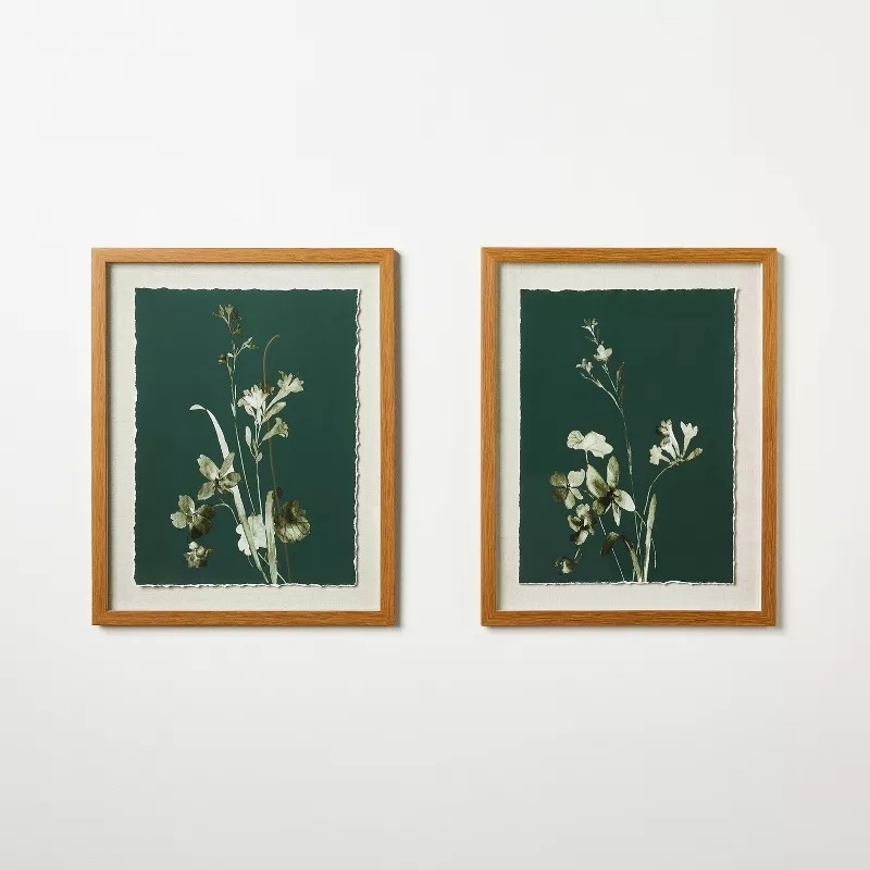 Two framed botanical prints featuring pressed flowers and plants on dark green backgrounds. Suitable for home decor shopping