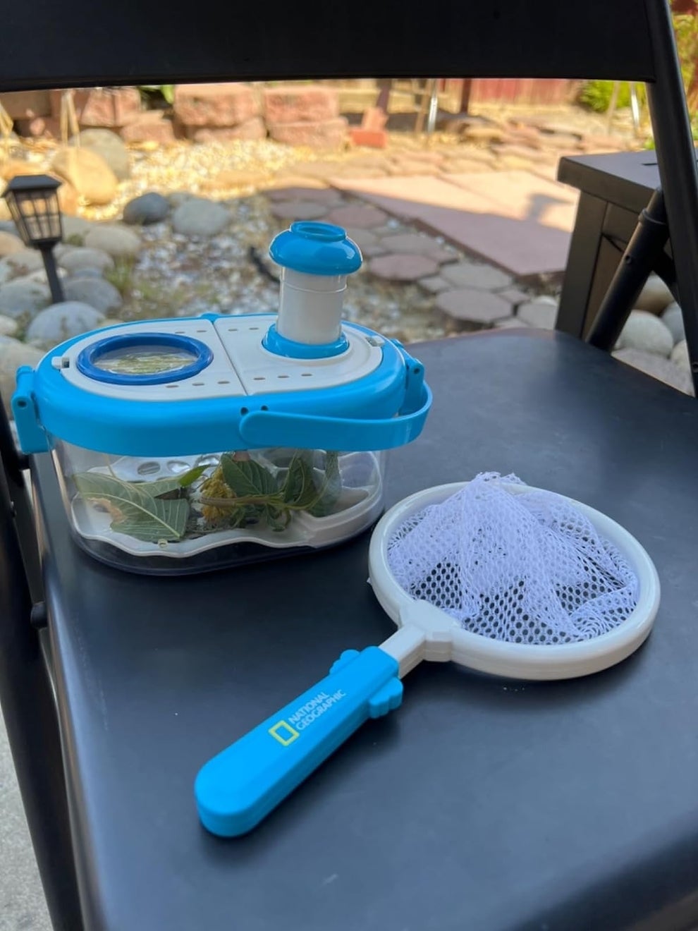 Small insect habitat container with a blue lid and magnifying glass, next to a National Geographic-branded white and blue insect net on a black chair