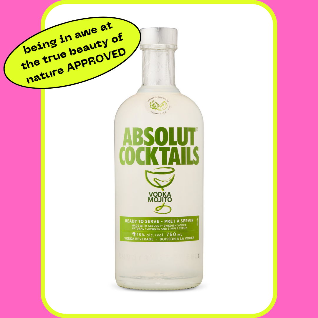 Absolut Cocktails Vodka Mojito bottle with a speech bubble saying "being in awe at the true beauty of nature APPROVED."
