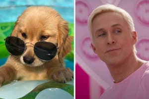 On the left, a golden retriever puppy in a pool float wearing sunglasses, and on the right, Ryan Gosling as Ken in Barbie