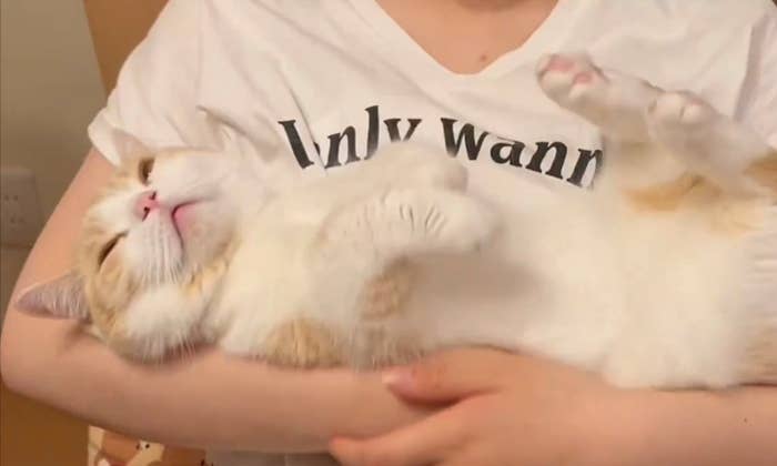 抱っこされるぽんずくん