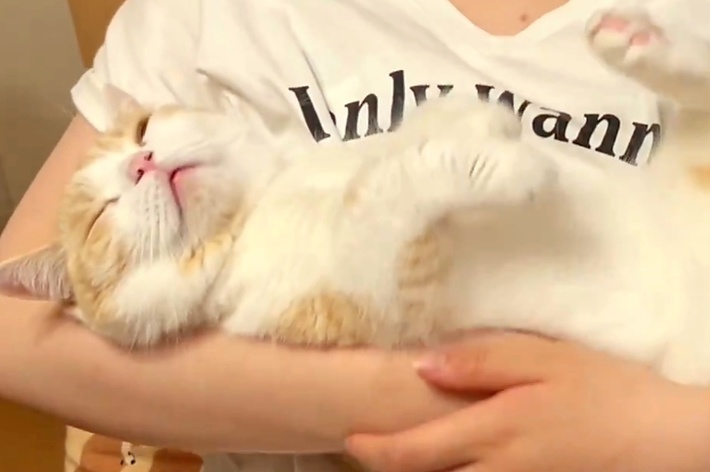 抱っこされて眠るぽんずくん