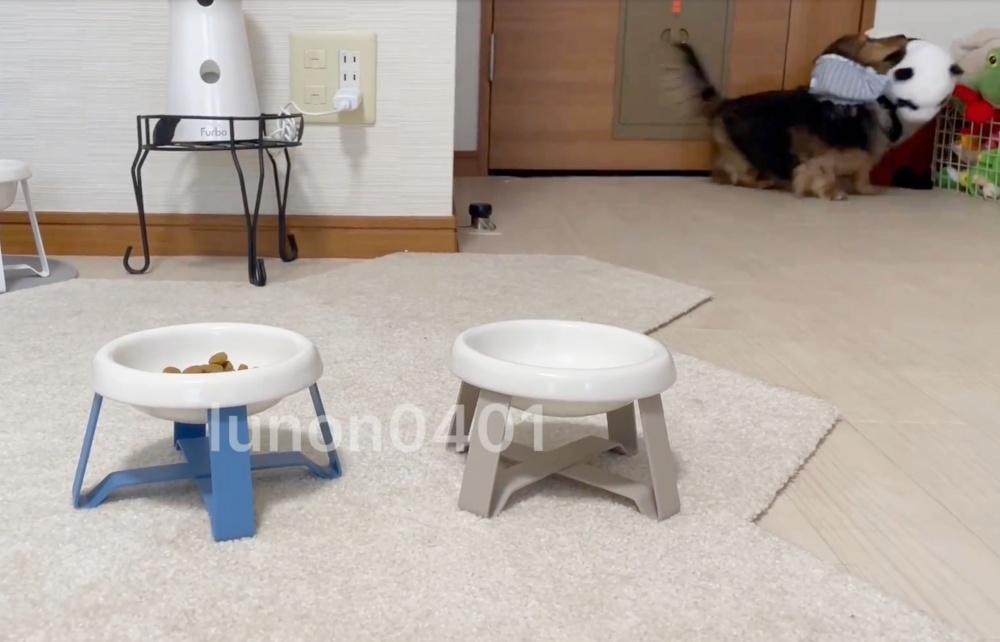 パンダのぬいぐるみを選ぶるのんくん