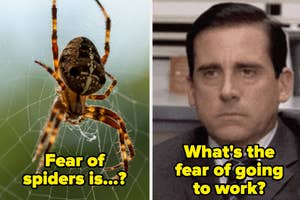 Close-up of a spider on a web with text "Fear of spiders is...?"; image of a man in a suit looking serious with text "What's the fear of going to work?"
