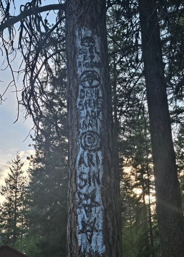 Tree trunk with white paint artwork, including faces, stars, and symbols; shot in a forest setting during sunset