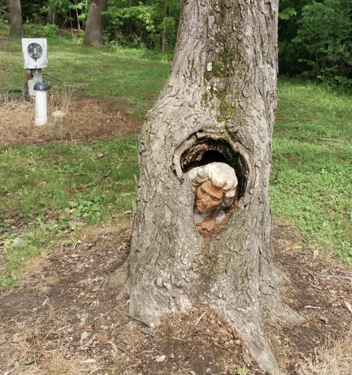 A tree with a large hollow in its trunk contains a sculpted head of Ludwig van Beethoven peering out. An electrical meter is visible in the background