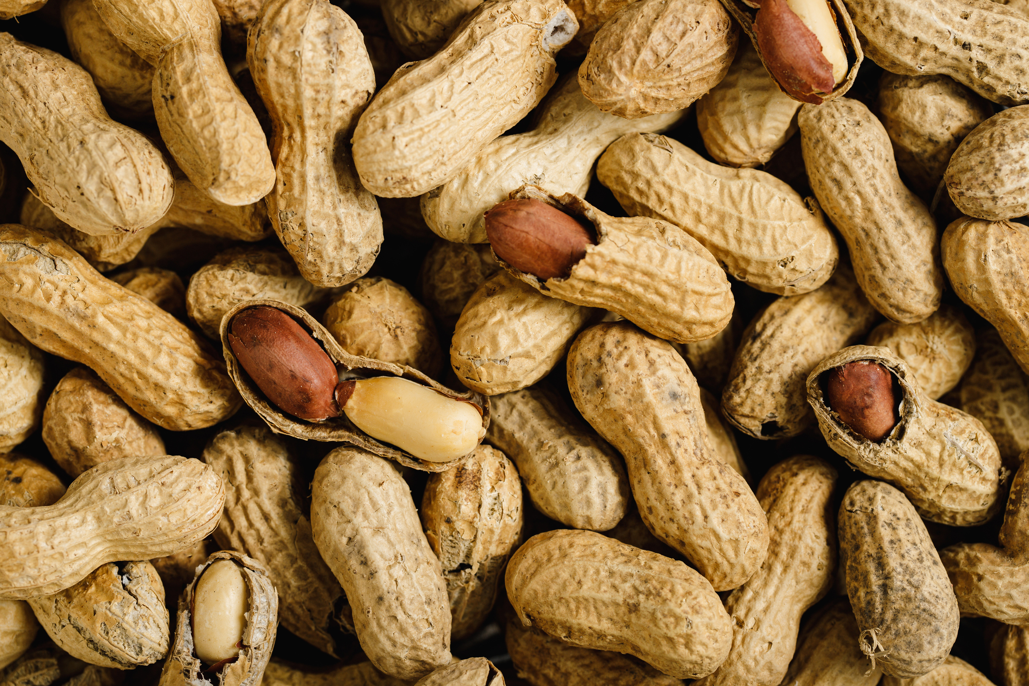 A close-up image of several peanuts in their shells, some of which are open, revealing the nuts inside