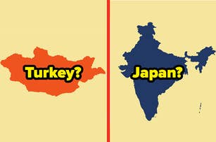 Two silhouettes of countries with text labels: On the left, a wrongly labeled Turkey, and on the right, a wrongly labeled Japan
